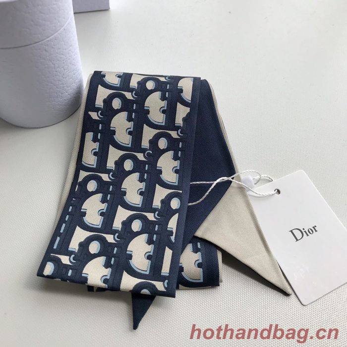 Dior Scarf CD00101 Dior Scarf CD00101