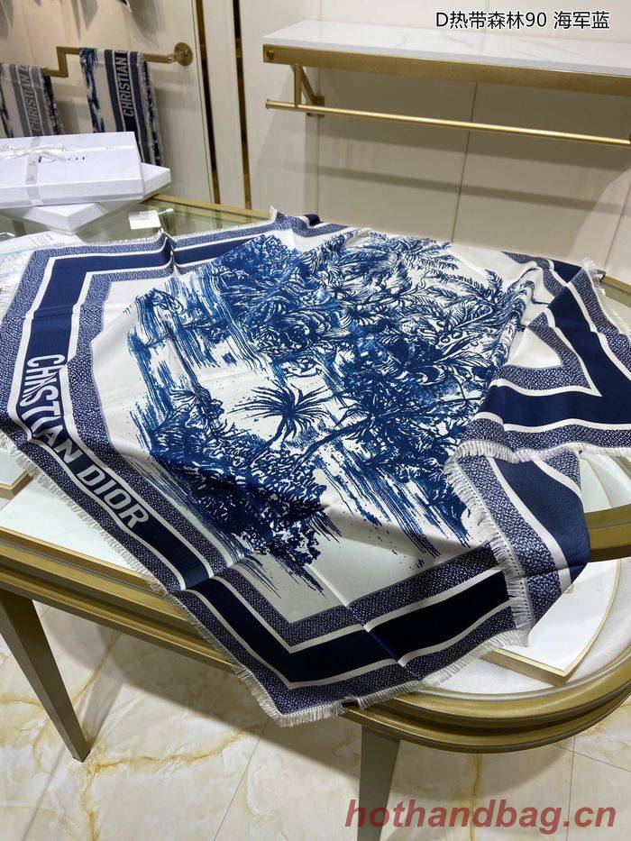 Dior Scarf DIS00034 Dior Scarf DIS00034