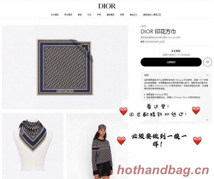 Dior Scarf DIS00054 Dior Scarf DIS00054