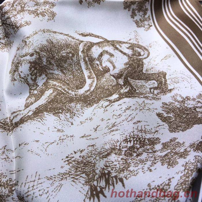 Dior Scarf DIS00057 Dior Scarf DIS00057