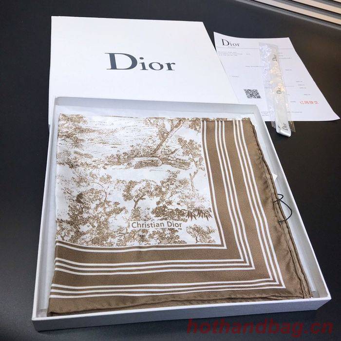 Dior Scarf DIS00057 Dior Scarf DIS00057