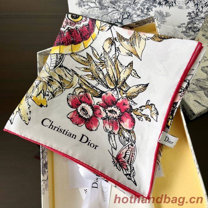 Dior Scarf DIS00059 Dior Scarf DIS00059