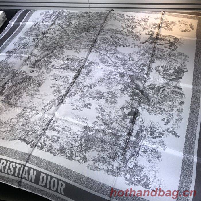 Dior Scarf DIS00061 Dior Scarf DIS00061
