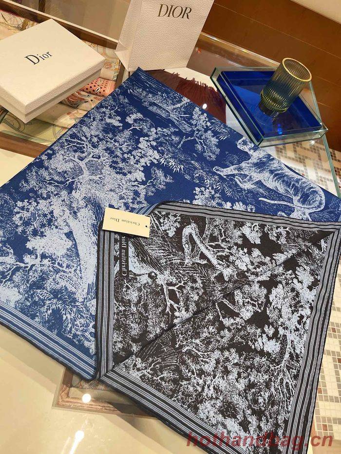 Dior Scarf DIS00072 Dior Scarf DIS00072