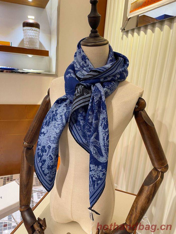 Dior Scarf DIS00072 Dior Scarf DIS00072