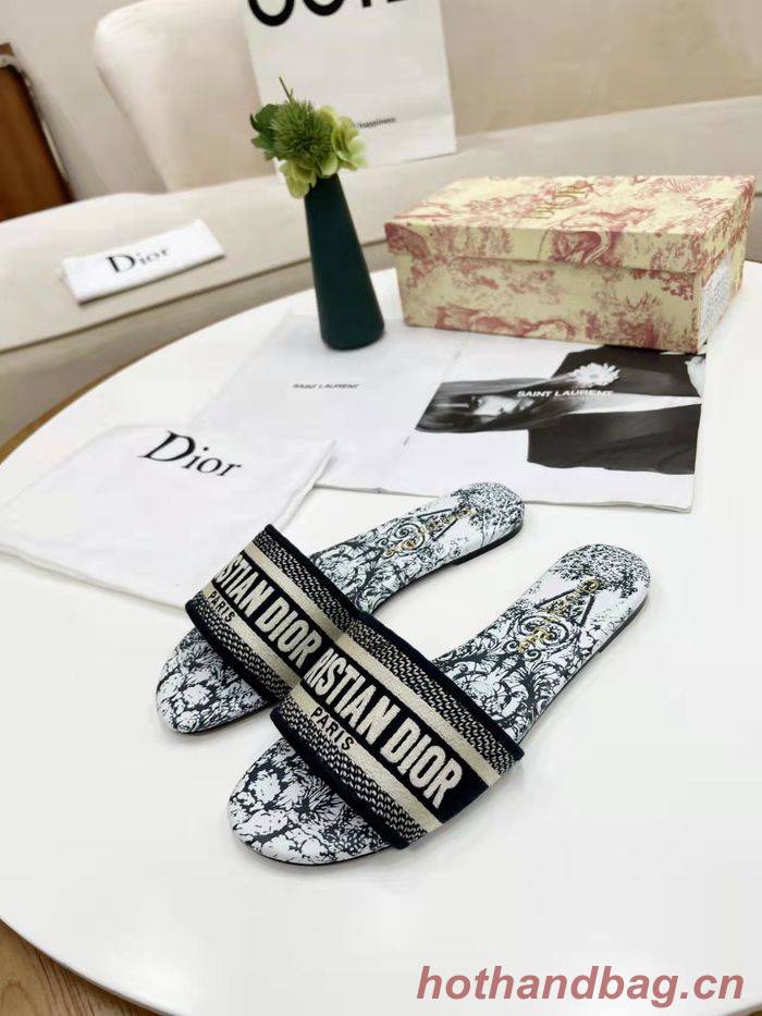 Dior Shoes DIS00182