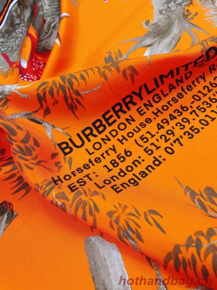 Burberry Scarf BBC00065 Burberry Scarf BBC00065