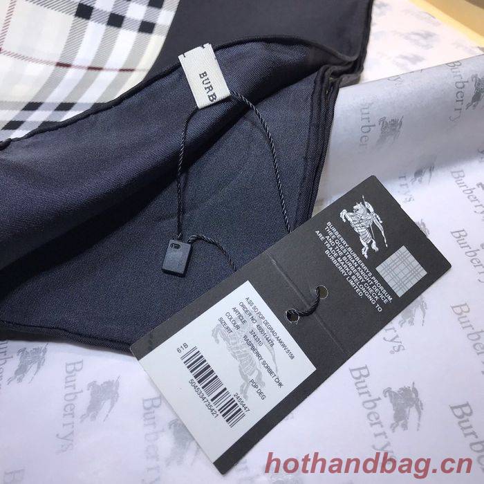 Burberry Scarf BBC00088 Burberry Scarf BBC00088