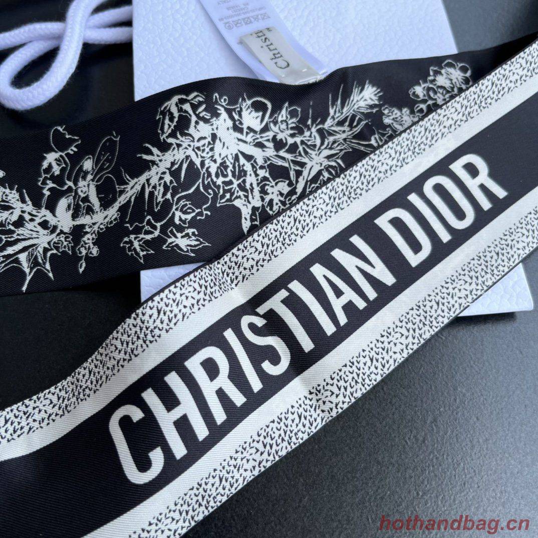 Dior Scarf DIC00002 Dior Scarf DIC00002