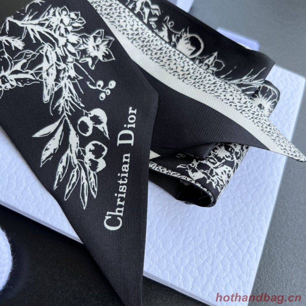 Dior Scarf DIC00002 Dior Scarf DIC00002
