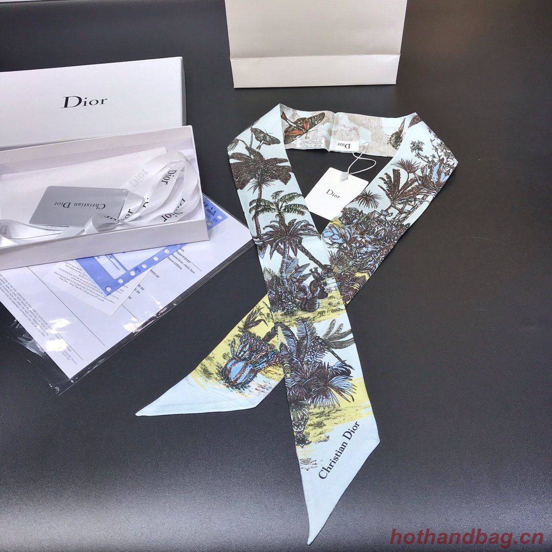 Dior Scarf DIC00004 Dior Scarf DIC00004