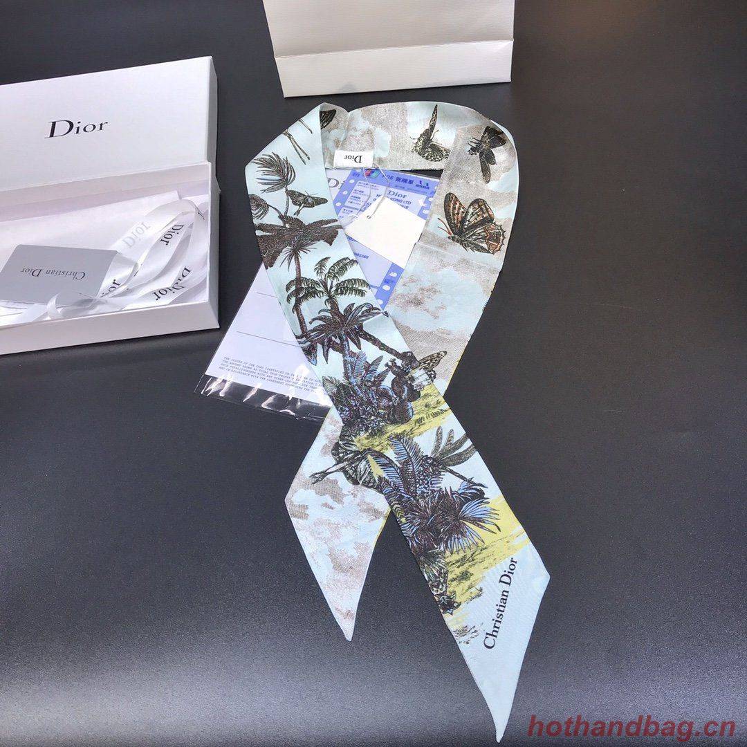 Dior Scarf DIC00004 Dior Scarf DIC00004