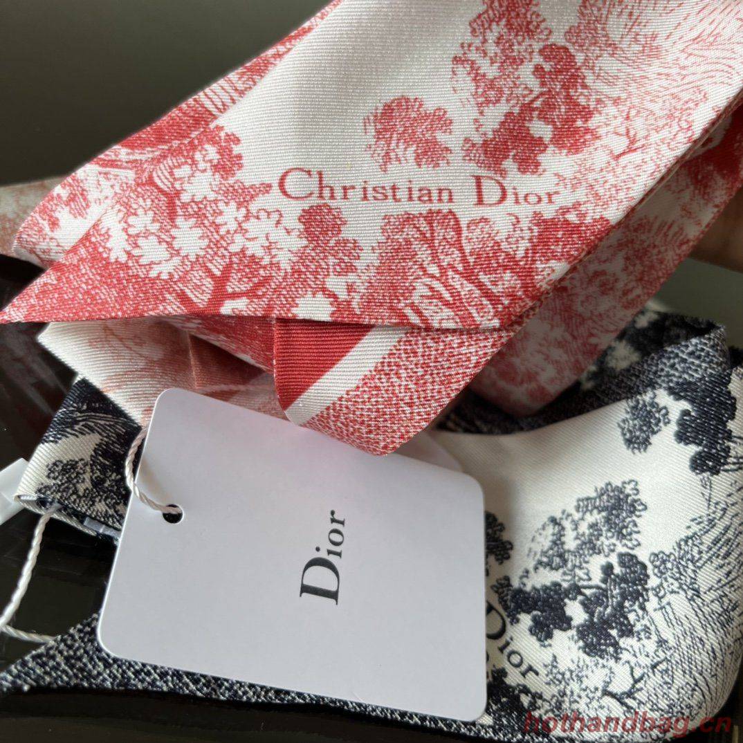 Dior Scarf DIC00006 Dior Scarf DIC00006