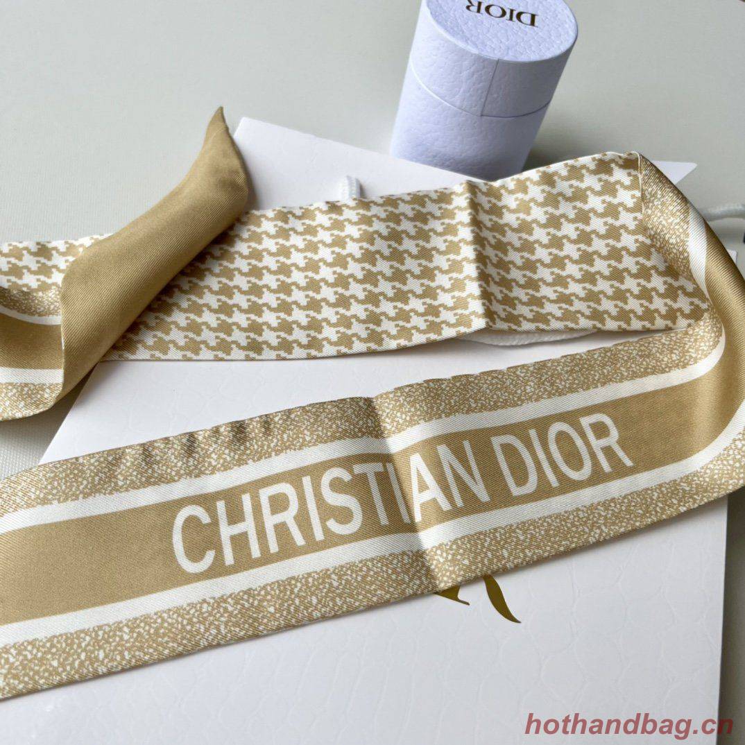Dior Scarf DIC00013 Dior Scarf DIC00013