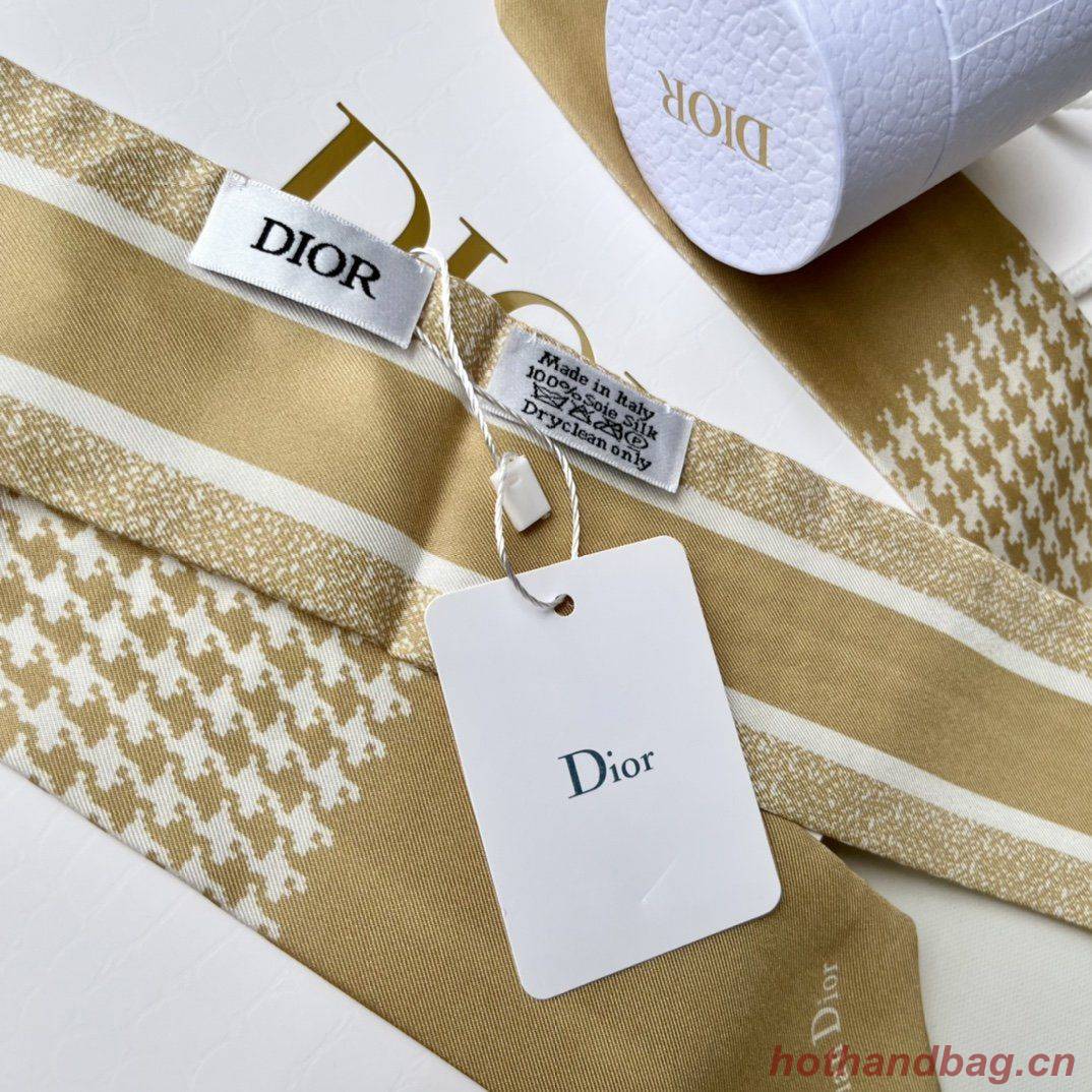 Dior Scarf DIC00013 Dior Scarf DIC00013