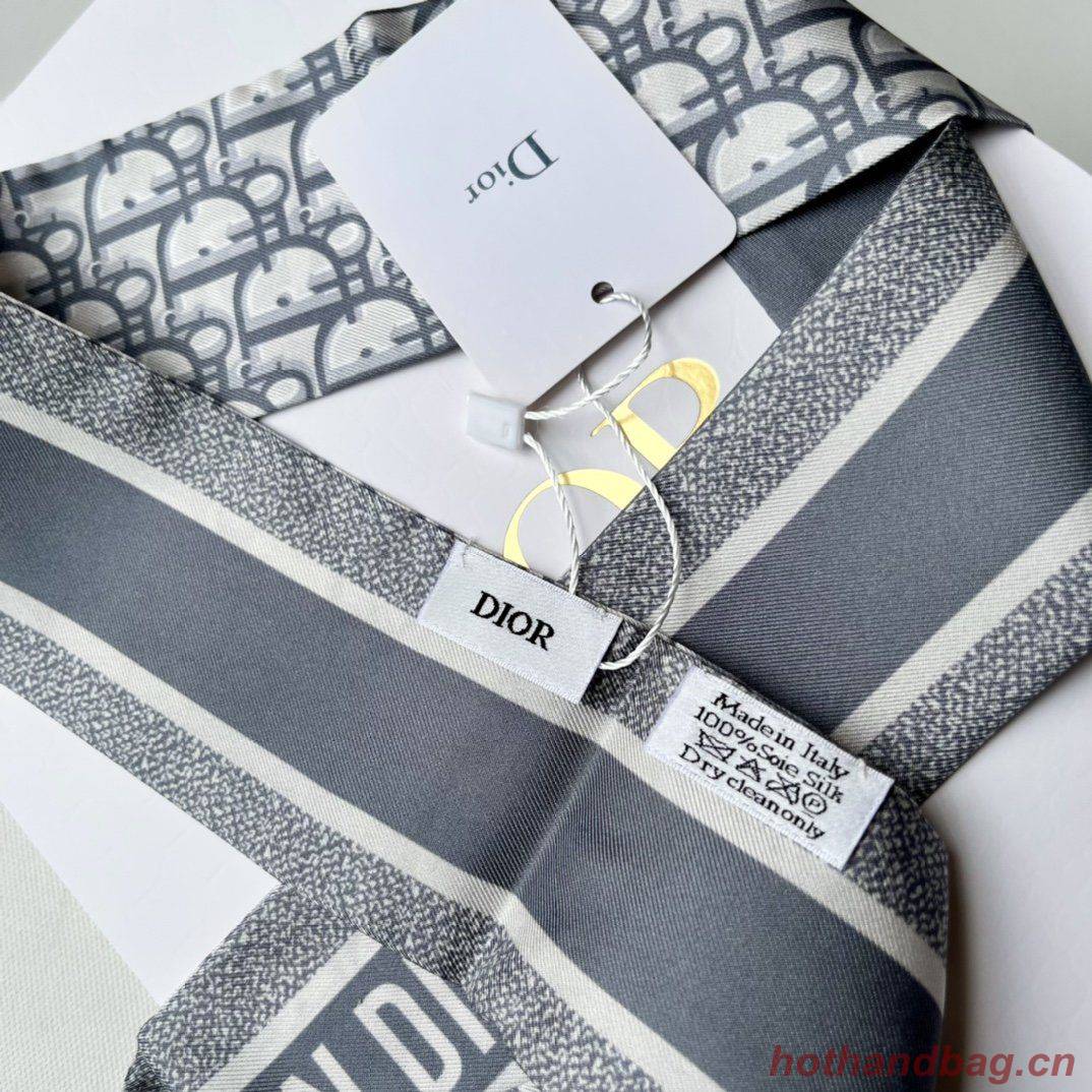 Dior Scarf DIC00017 Dior Scarf DIC00017