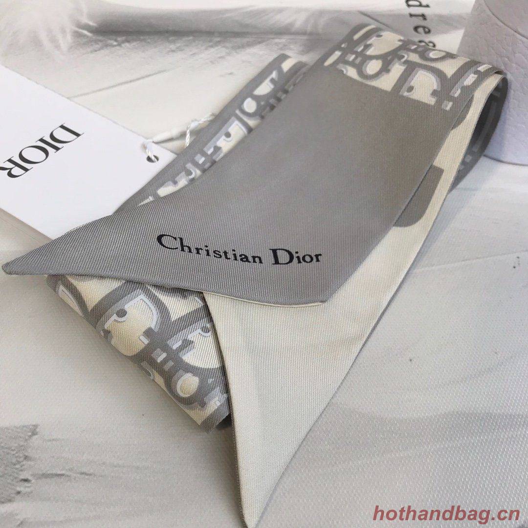 Dior Scarf DIC00019 Dior Scarf DIC00019