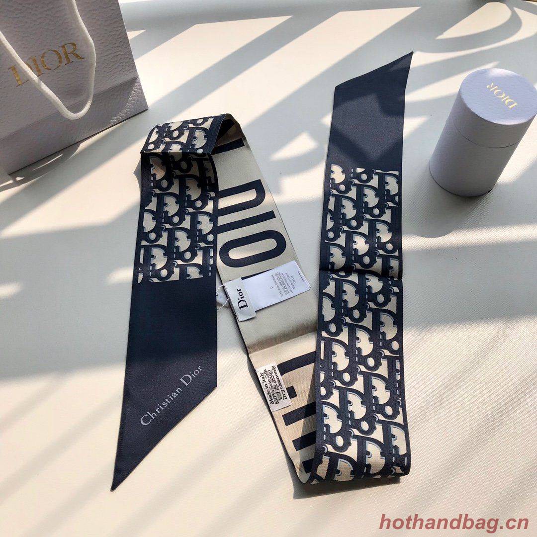 Dior Scarf DIC00020 Dior Scarf DIC00020