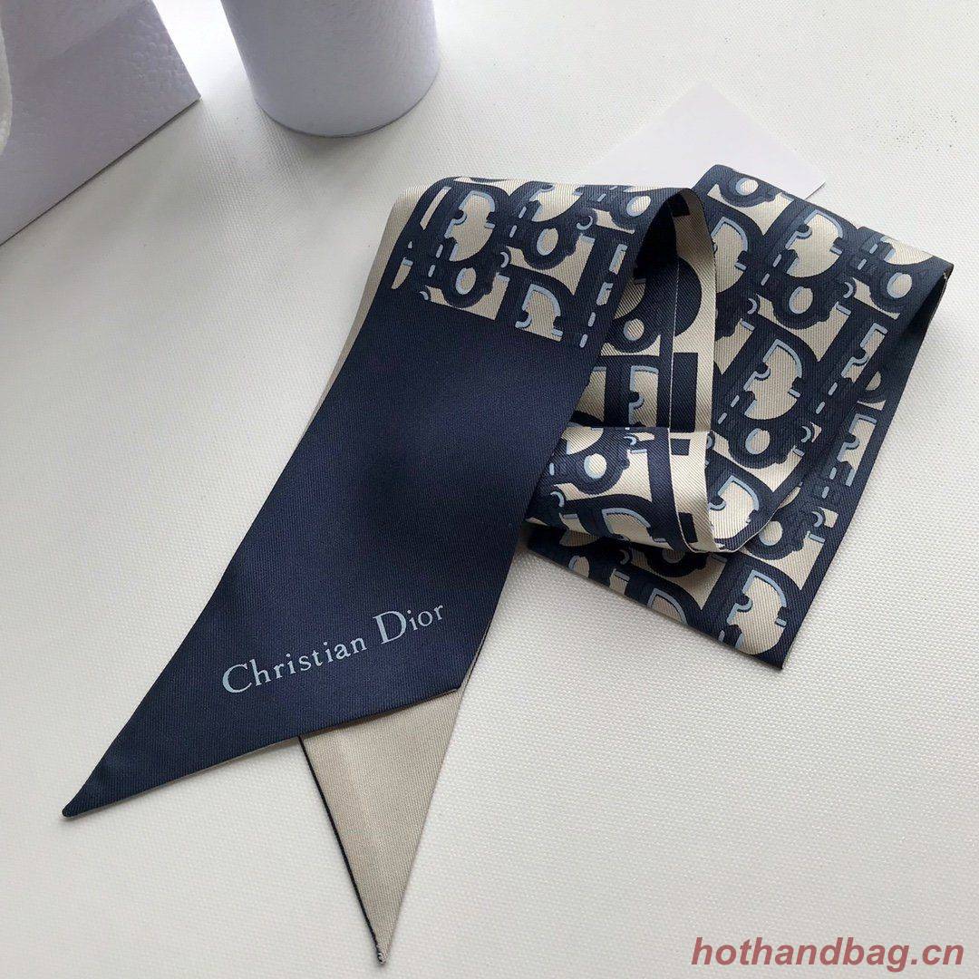 Dior Scarf DIC00020 Dior Scarf DIC00020