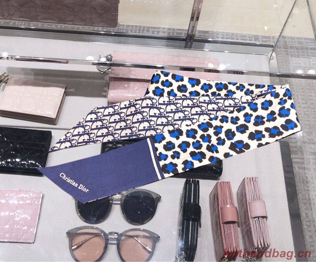 Dior Scarf DIC00023 Dior Scarf DIC00023