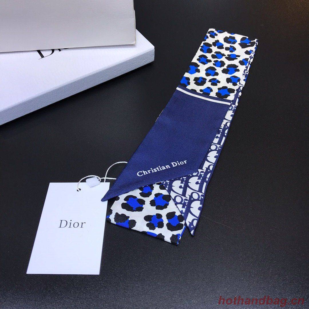 Dior Scarf DIC00023 Dior Scarf DIC00023