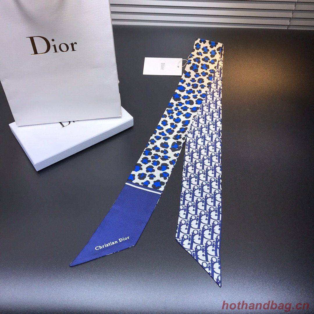 Dior Scarf DIC00023 Dior Scarf DIC00023