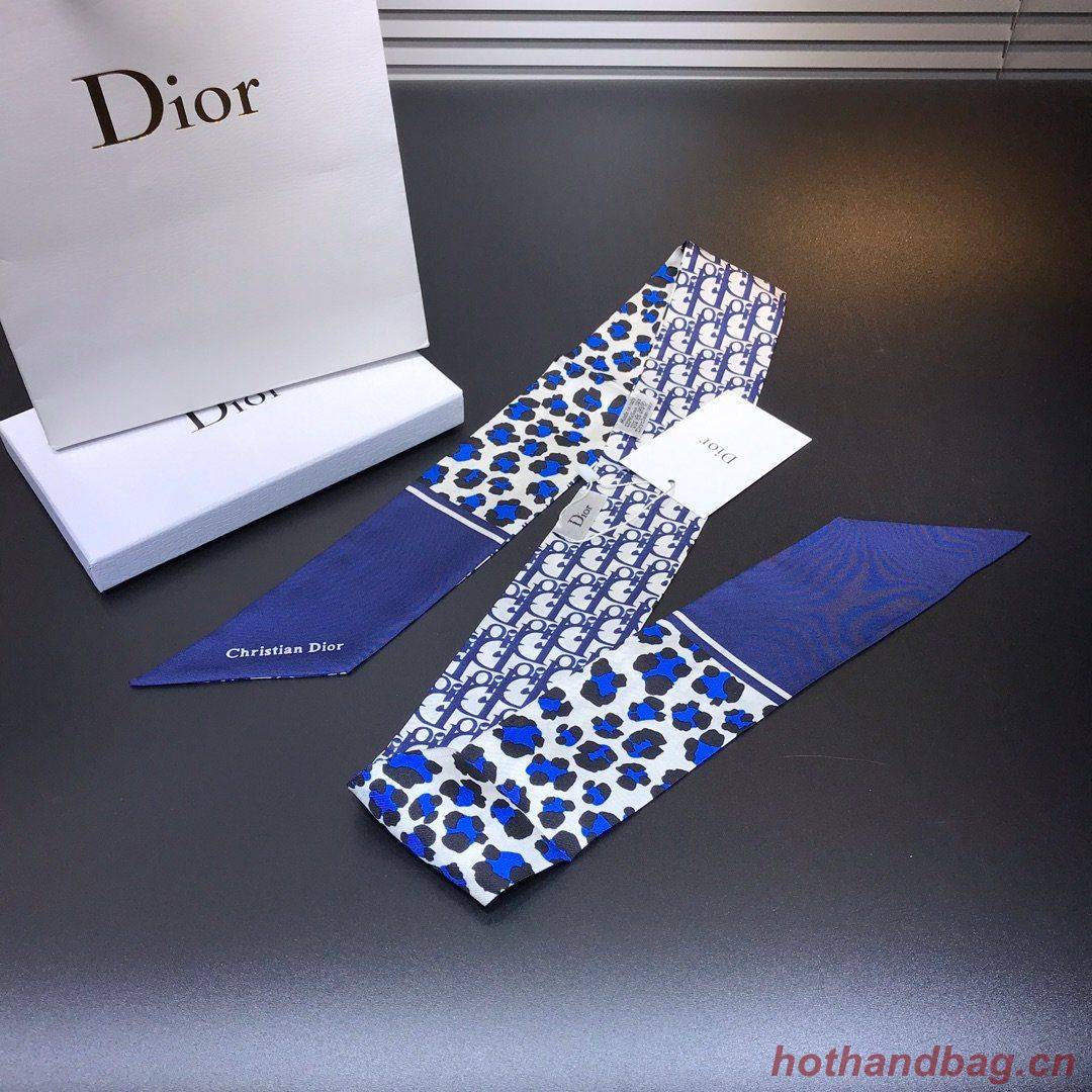 Dior Scarf DIC00023 Dior Scarf DIC00023