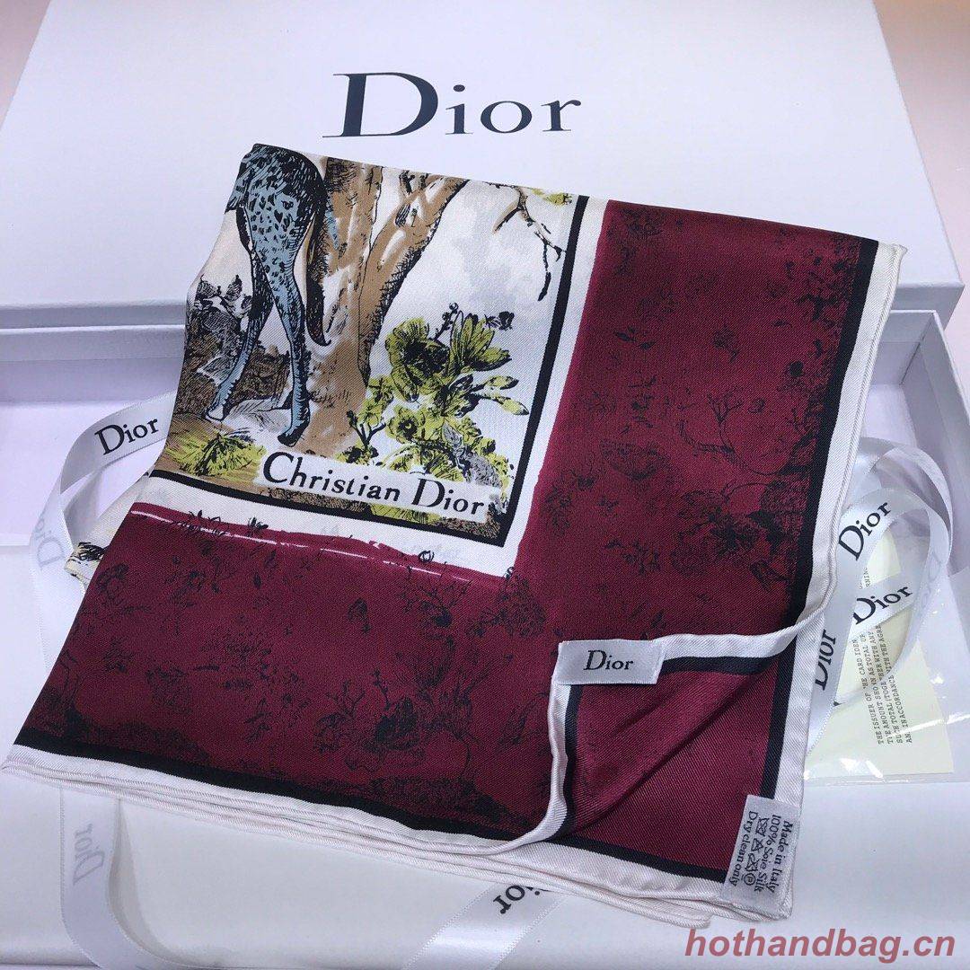 Dior Scarf DIC00054 Dior Scarf DIC00054