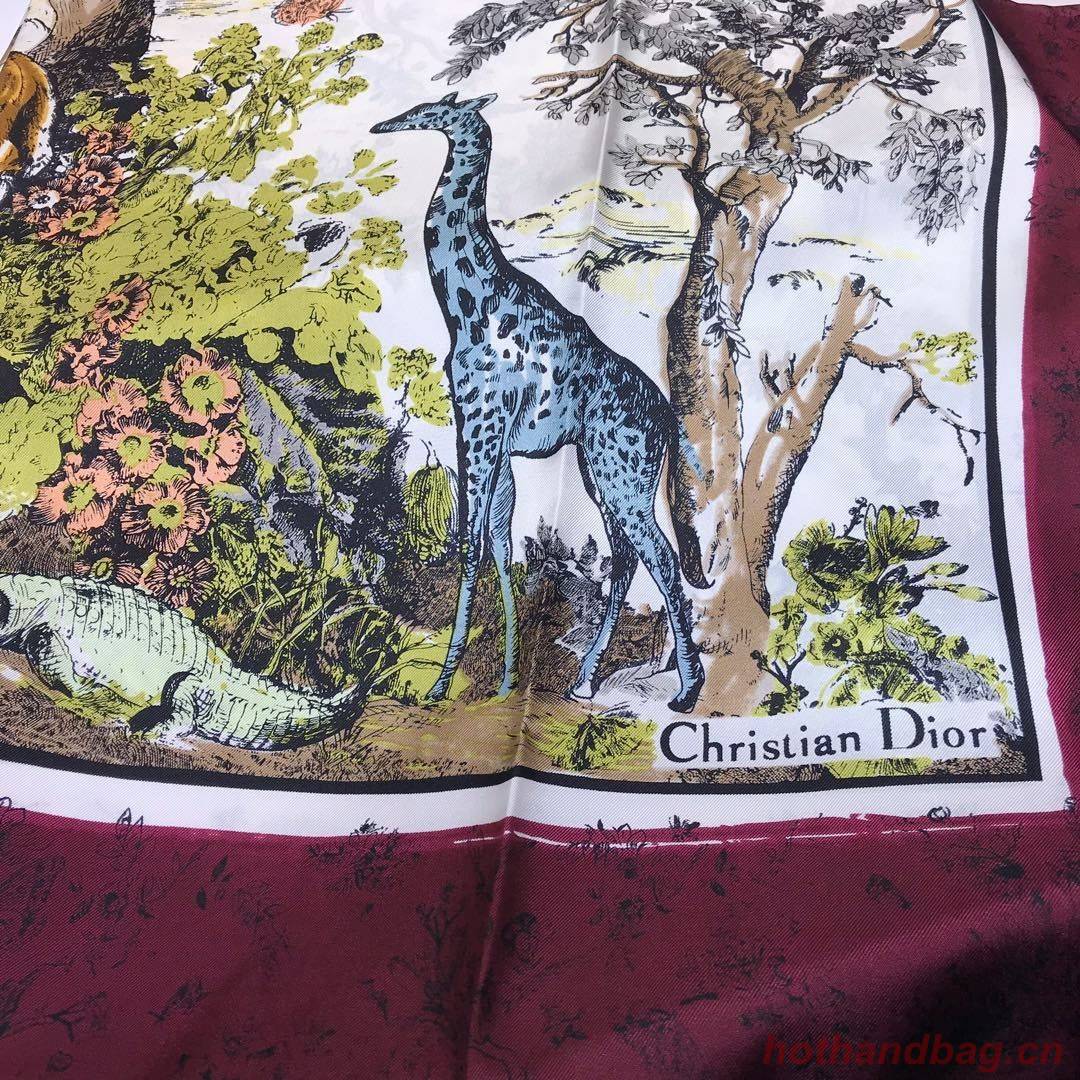 Dior Scarf DIC00054 Dior Scarf DIC00054