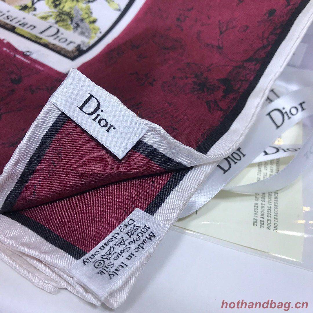 Dior Scarf DIC00054 Dior Scarf DIC00054