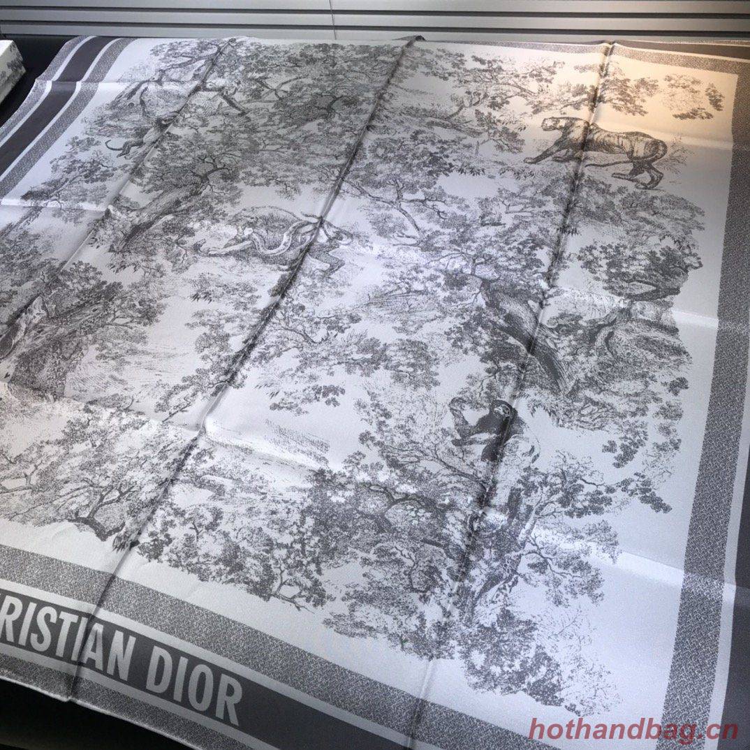 Dior Scarf DIC00058 Dior Scarf DIC00058