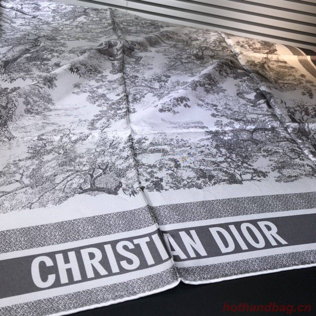 Dior Scarf DIC00058 Dior Scarf DIC00058