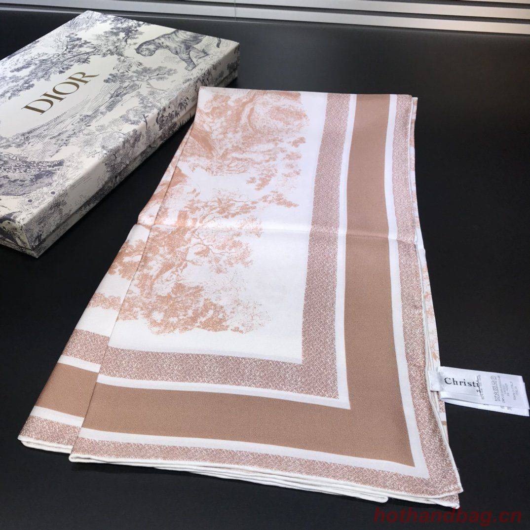 Dior Scarf DIC00059 Dior Scarf DIC00059