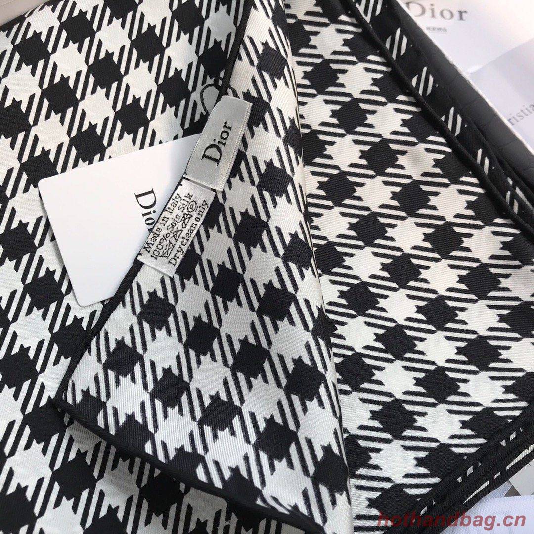 Dior Scarf DIC00060 Dior Scarf DIC00060