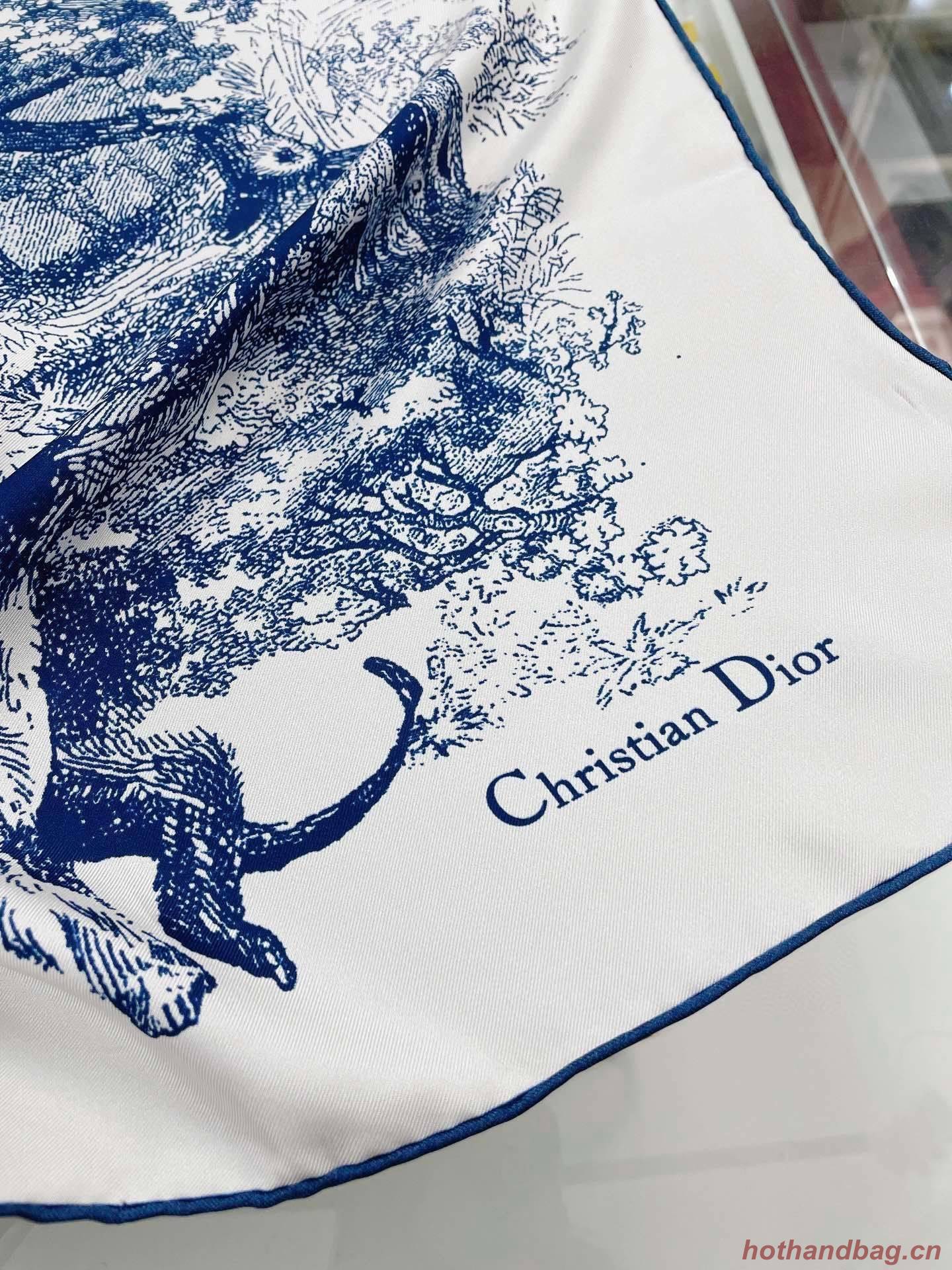 Dior Scarf DIC00061 Dior Scarf DIC00061