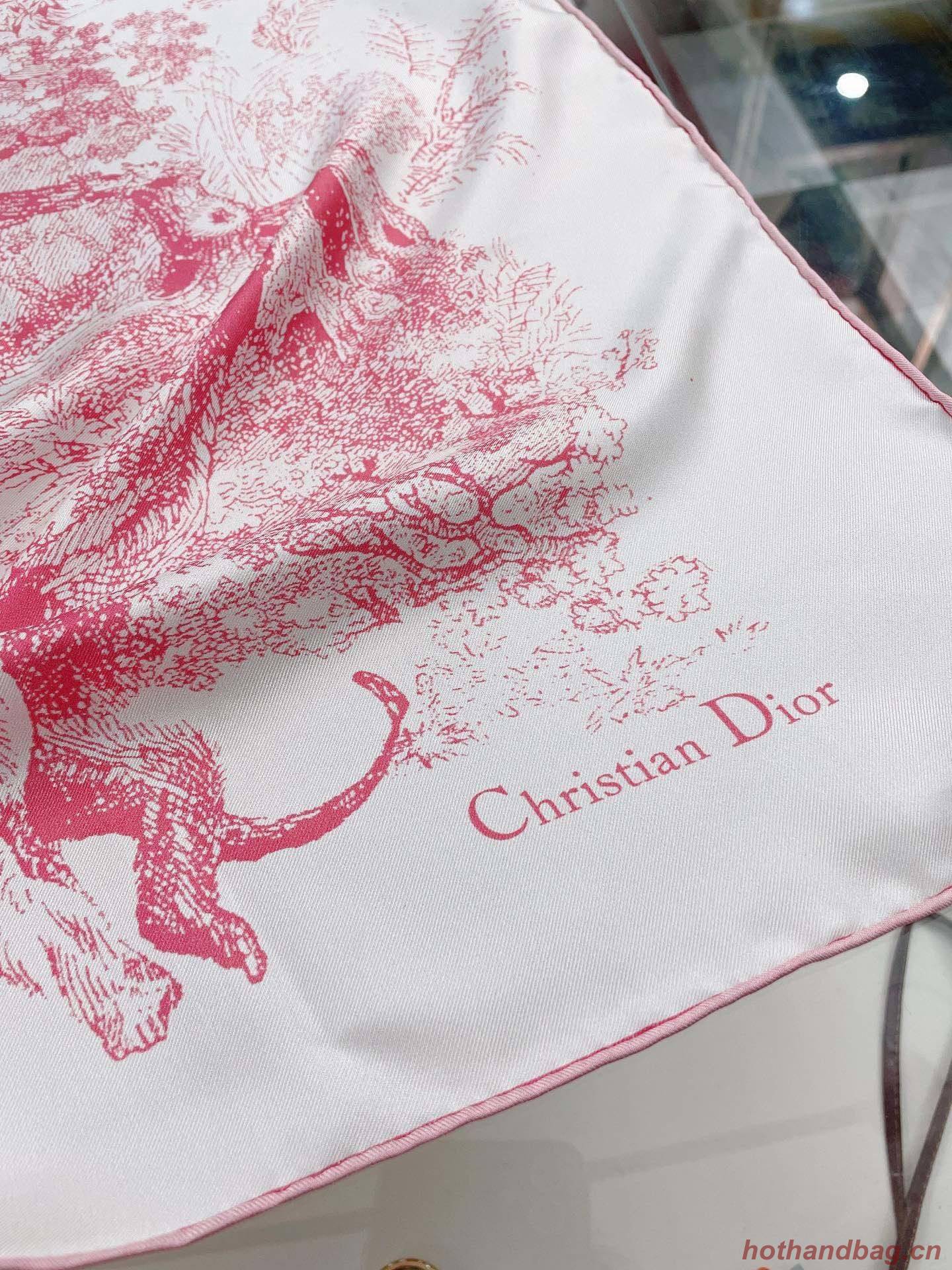Dior Scarf DIC00062 Dior Scarf DIC00062