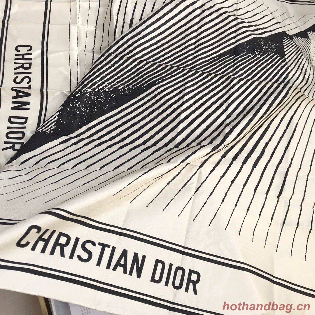 Dior Scarf DIC00073 Dior Scarf DIC00073