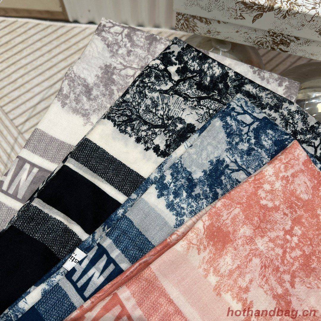 Dior Scarf DIC00081 Dior Scarf DIC00081