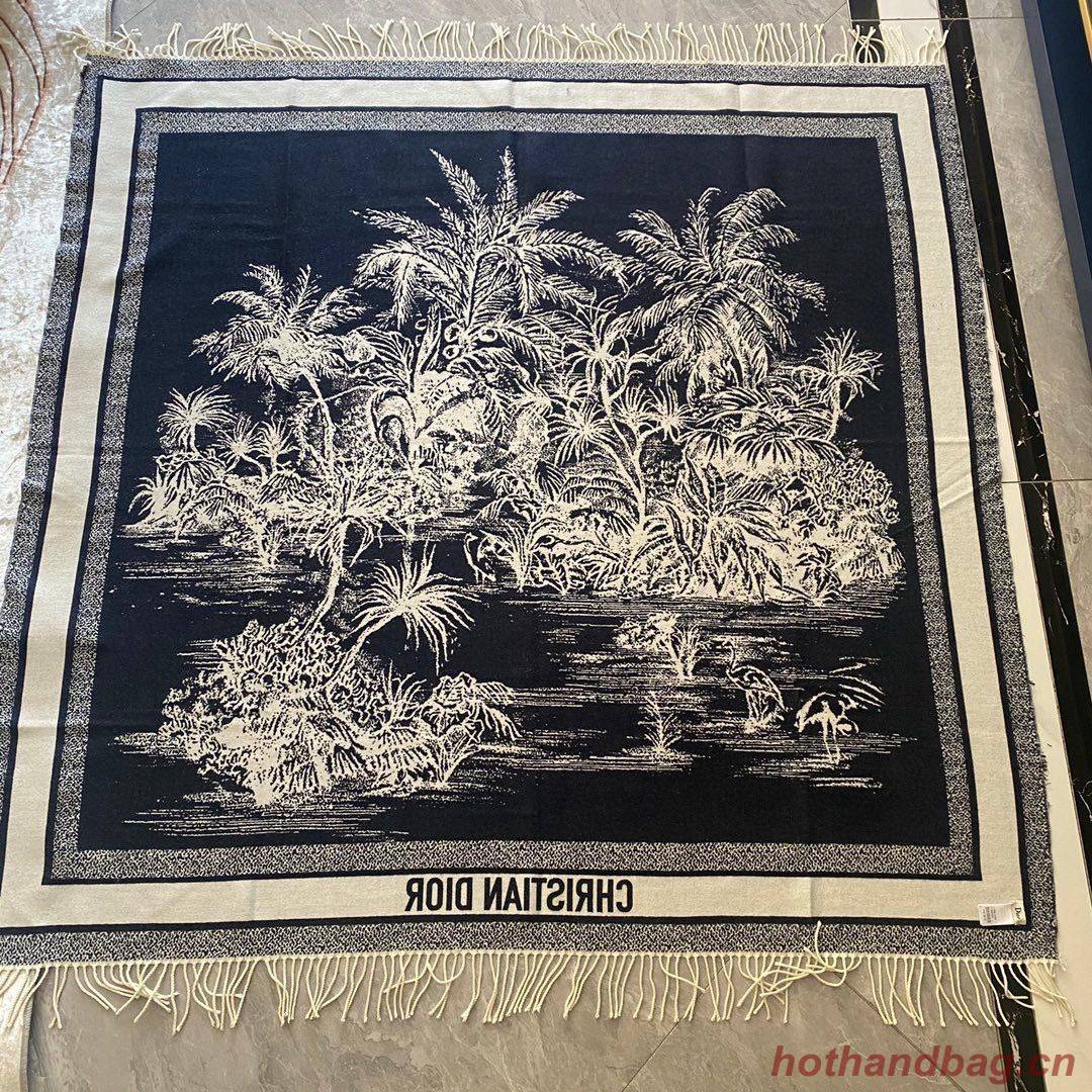 Dior Scarf DIC00138 Dior Scarf DIC00138