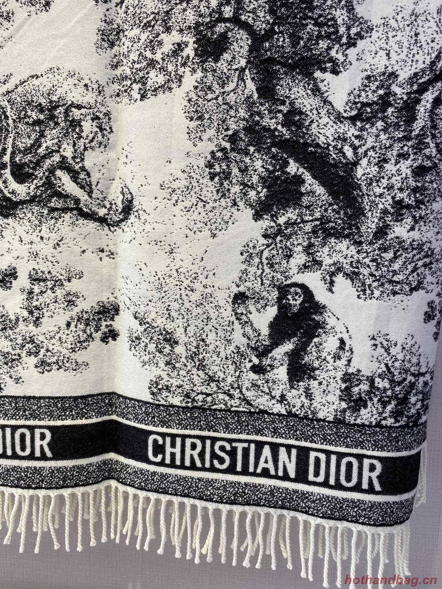 Dior Scarf DIC00139 Dior Scarf DIC00139