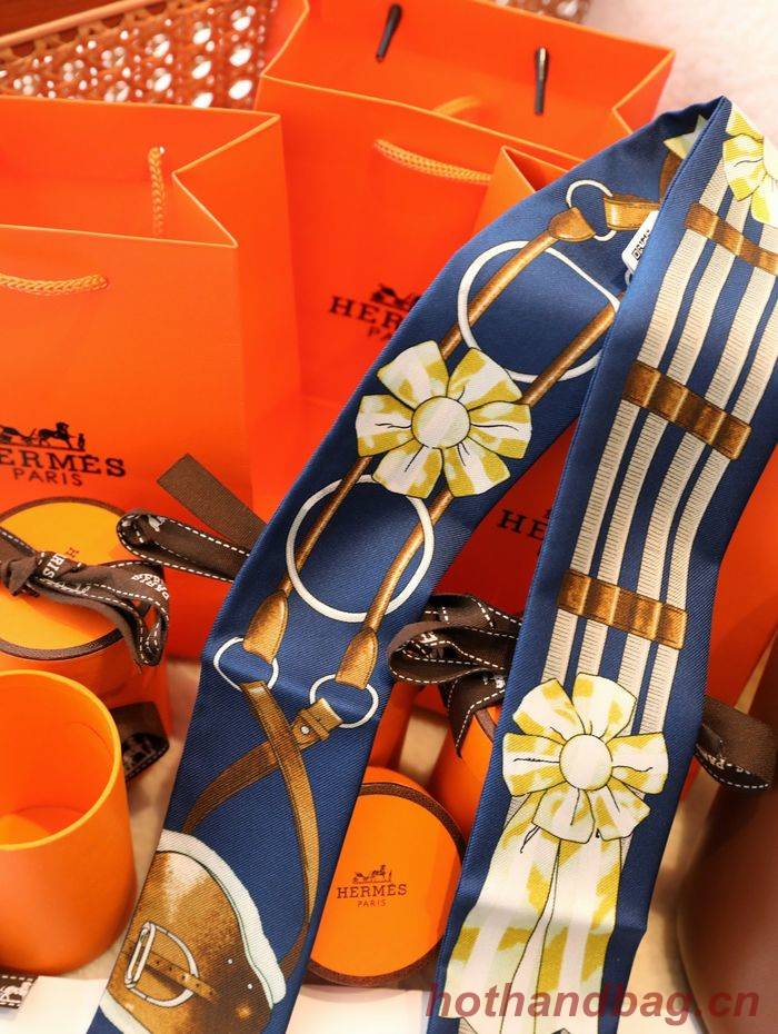 Hermes Scarf HEC00079 Hermes Scarf HEC00079
