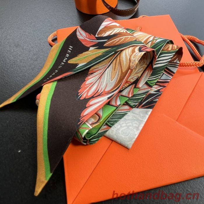 Hermes Scarf HEC00087 Hermes Scarf HEC00087