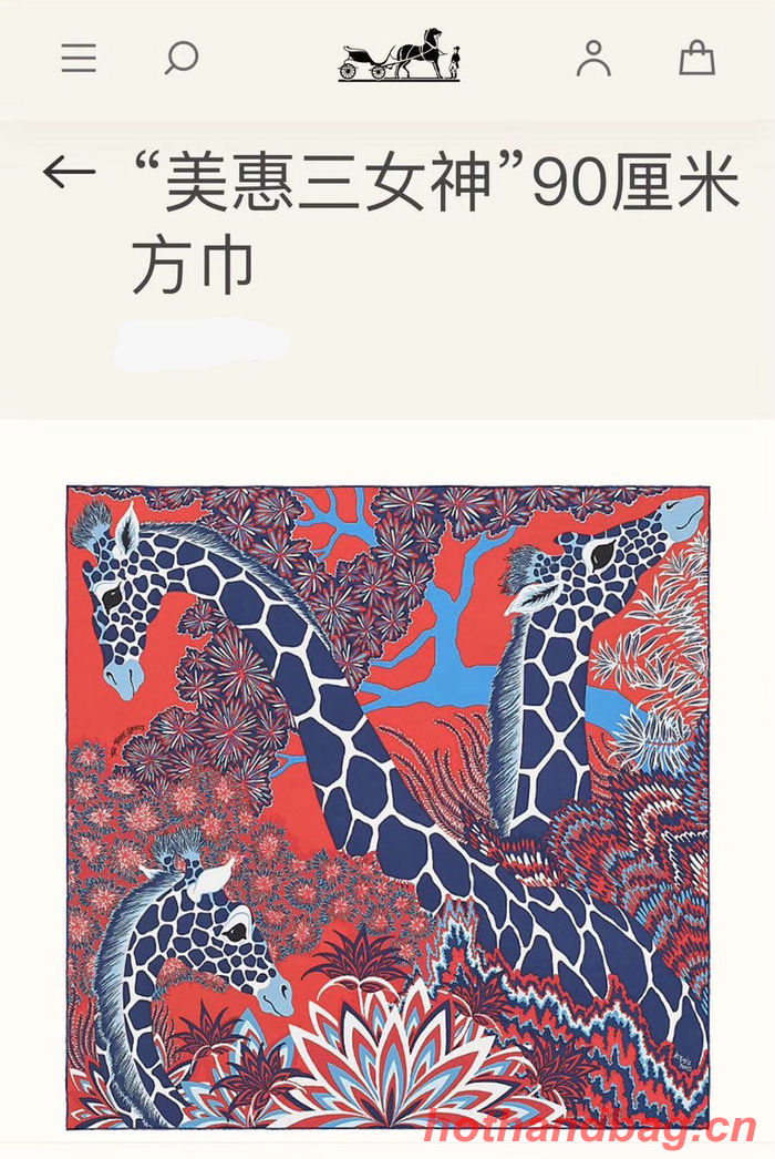 Hermes Scarf HEC00267 Hermes Scarf HEC00267