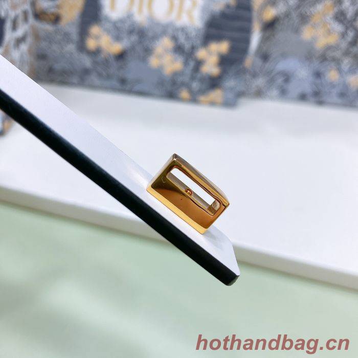 Dior Belt DIB00063 Dior Belt DIB00063