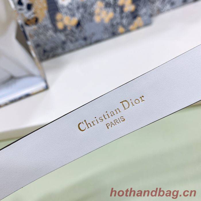 Dior Belt DIB00063 Dior Belt DIB00063