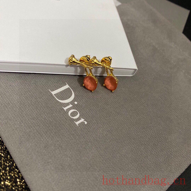 Dior Earrings CE12165 Dior Earrings CE12165