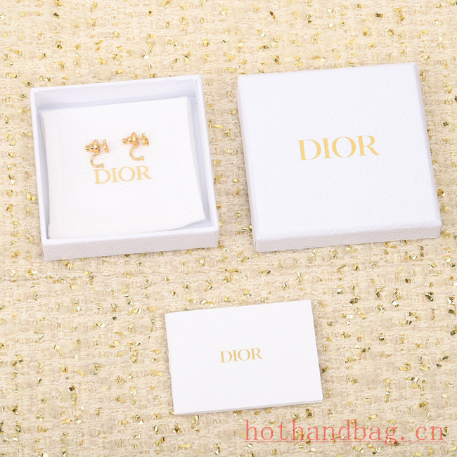 Dior Earrings CE12186 Dior Earrings CE12186