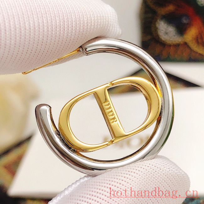 Dior Earrings CE12206 Dior Earrings CE12206