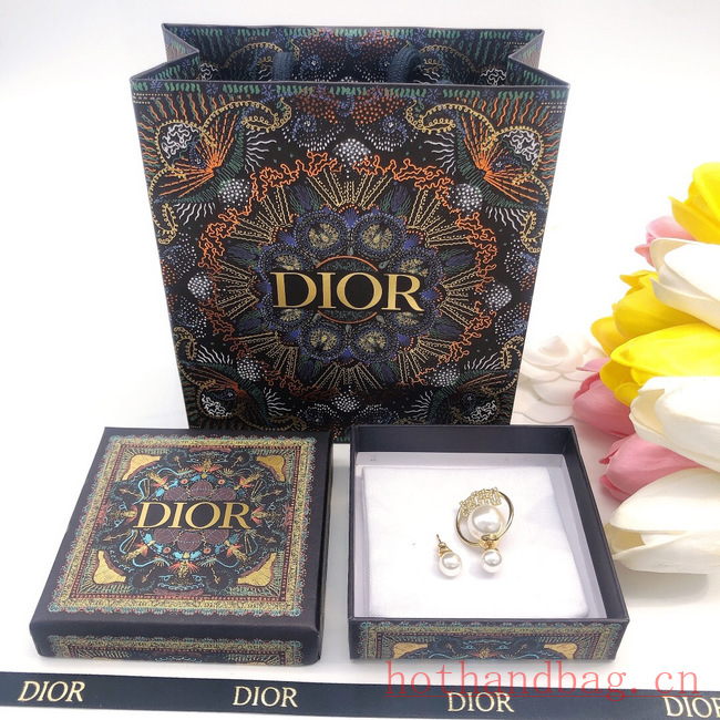 Dior Earrings CE12207 Dior Earrings CE12207