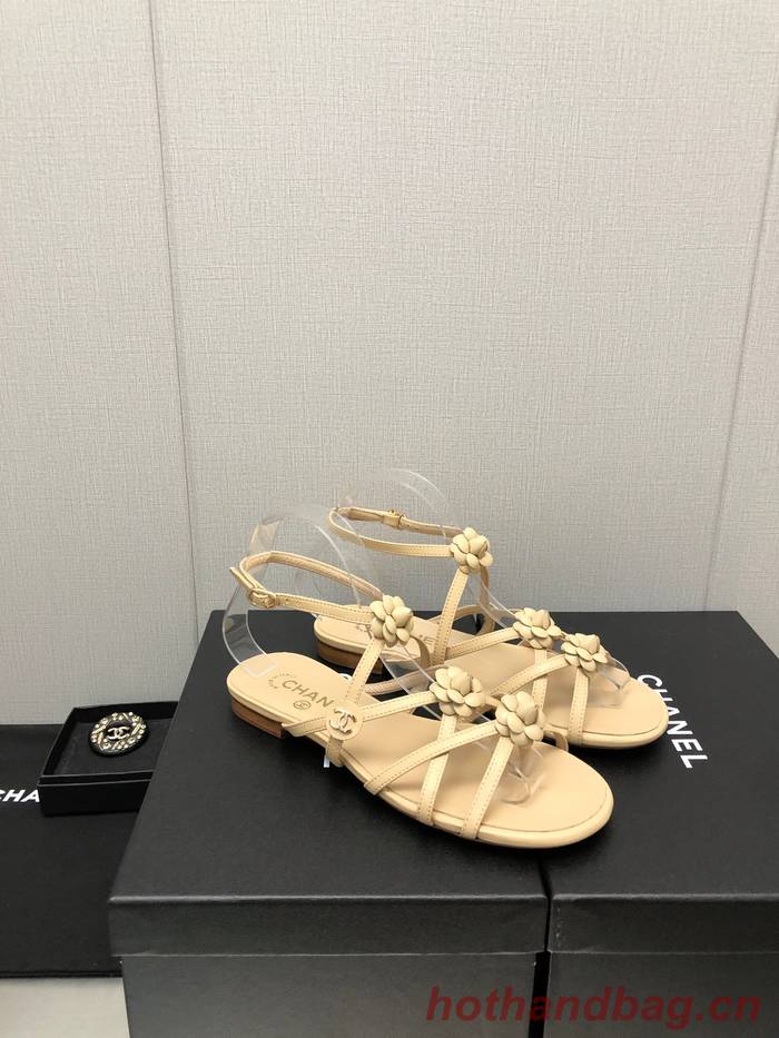 Chanel Shoes CHS00815